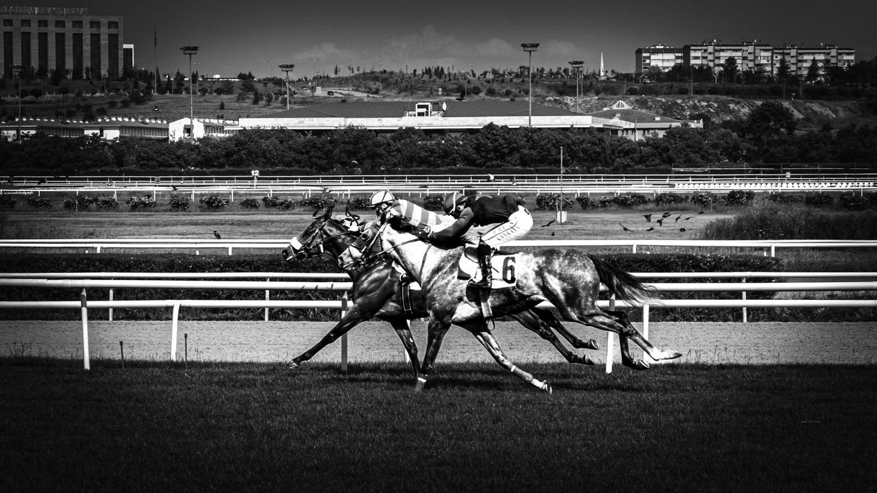 services-02 A dynamic black and white photograph capturing two horses racing at full speed on a track in Ankara, Turkey.