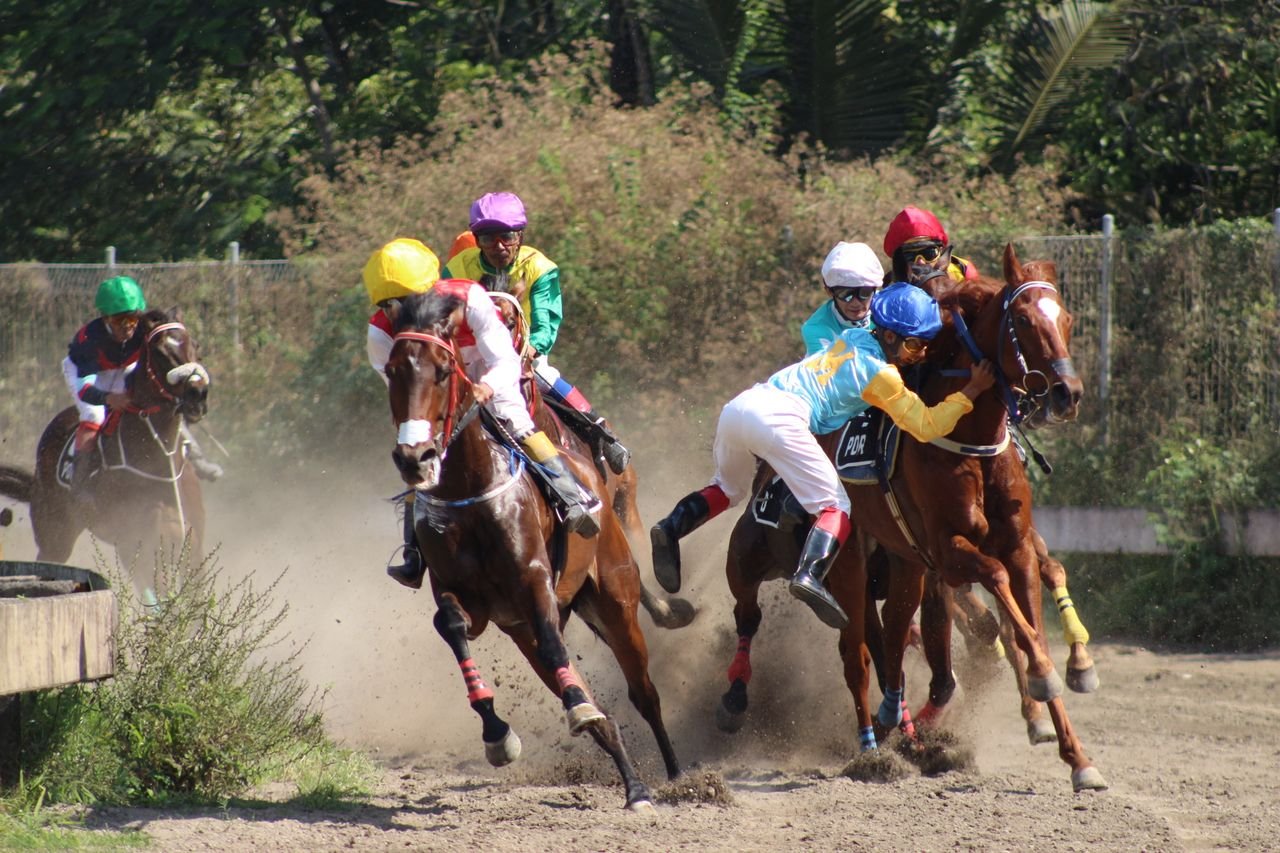 team-01 Horseman falling from horse during horse races with other participants galloping alongside in arena