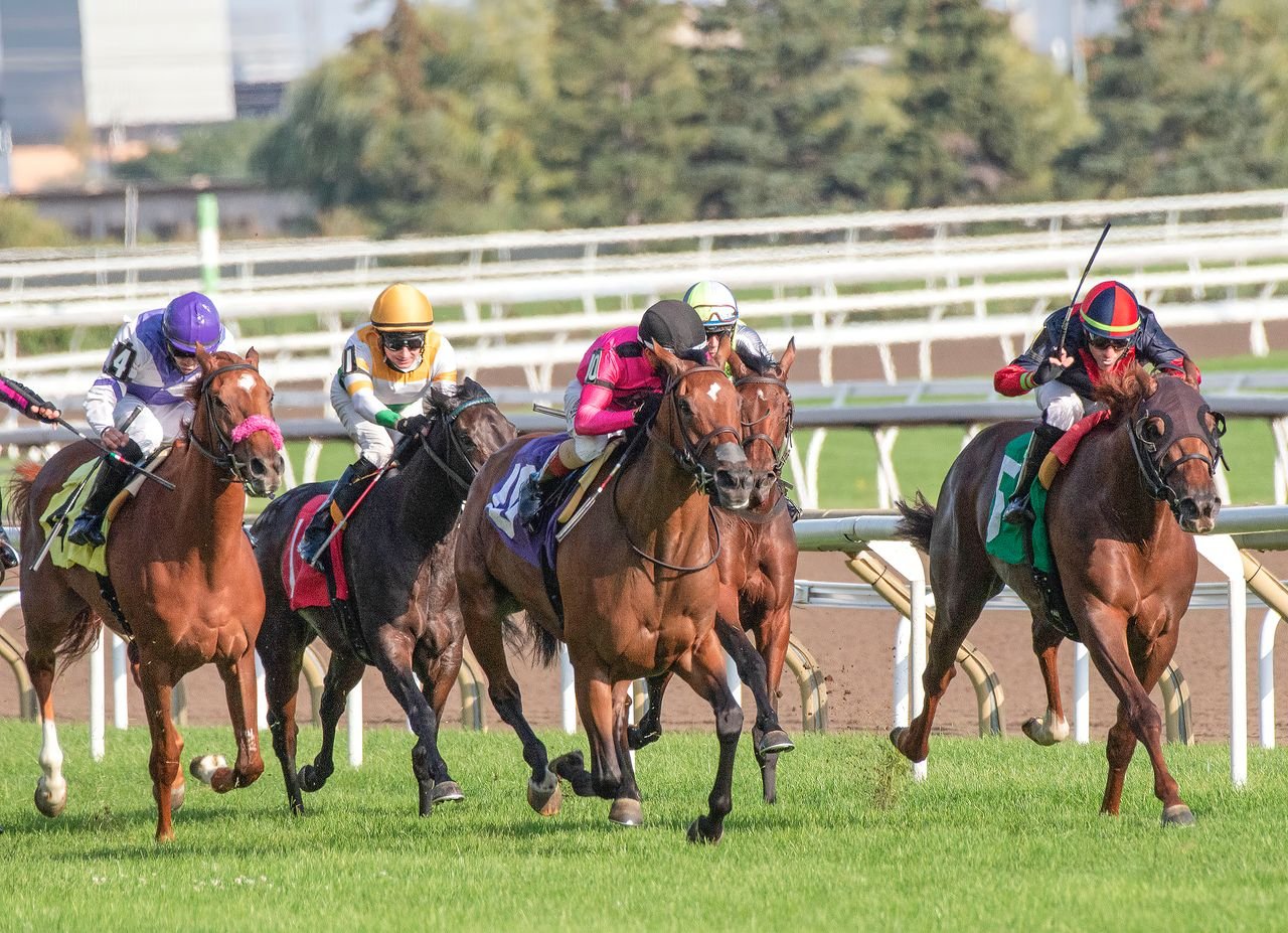 who-we-are Intense horse race showcasing competitive jockeys driving their steeds toward victory.