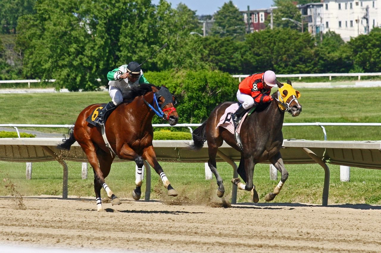 services-04 Dynamic shot of jockeys racing horses on a sunny day at a racetrack.