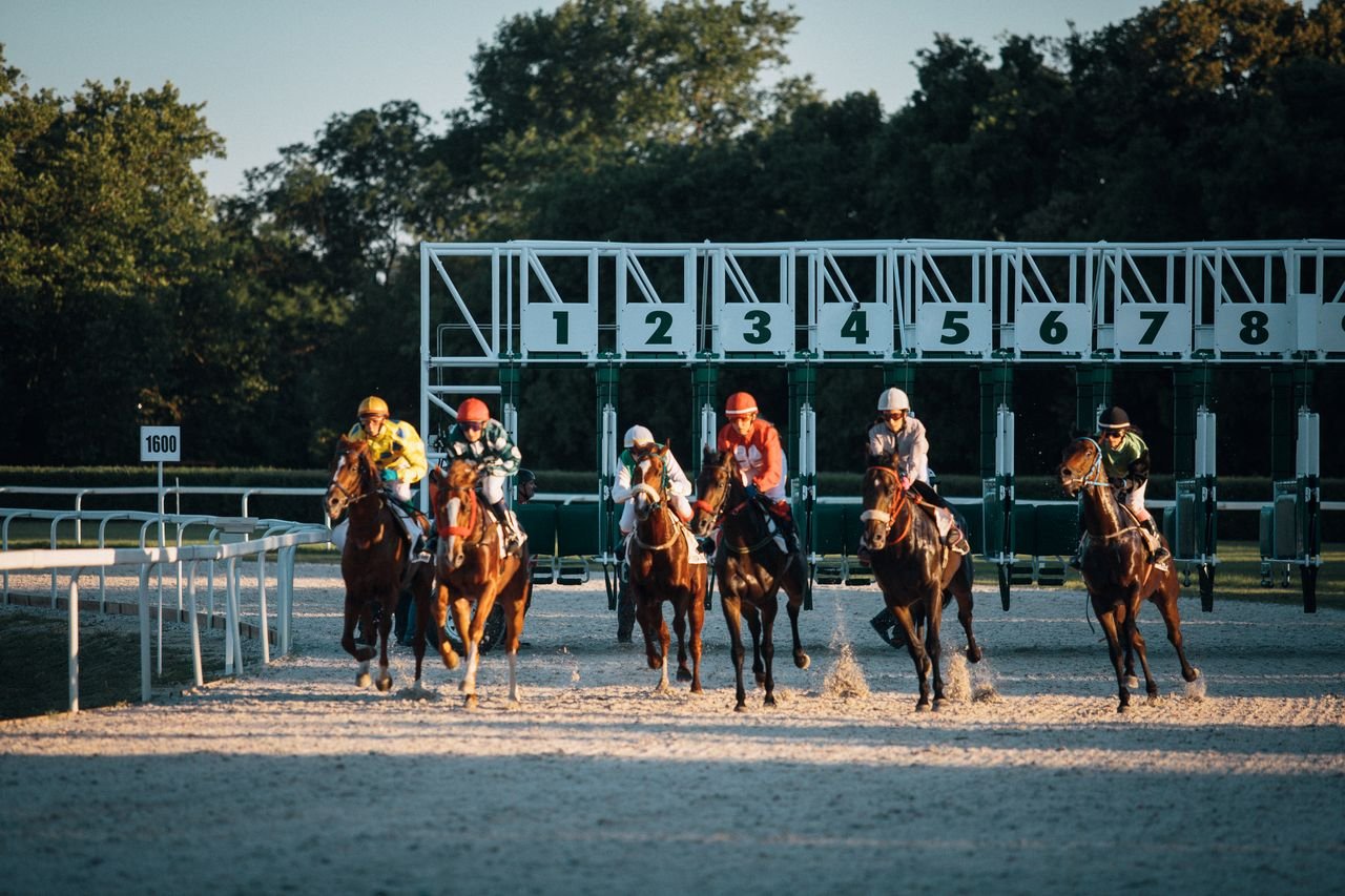 home-hero Jockeys and horses burst from the starting gate in a thrilling race in Budapest.